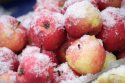 купить яблоки сухой заморозки