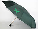 Женский зонт Love Rain
